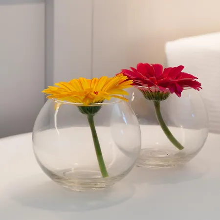 十号住宅区套房 里米尼