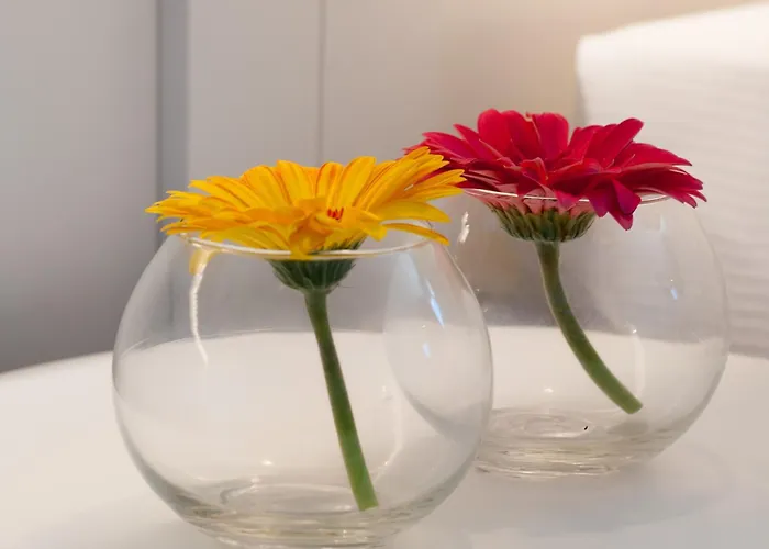 Residence Ten Suite Римини